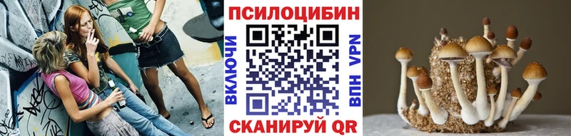 сколько стоит Ак-Довурак Галлюциногенные грибы Magic Shrooms
