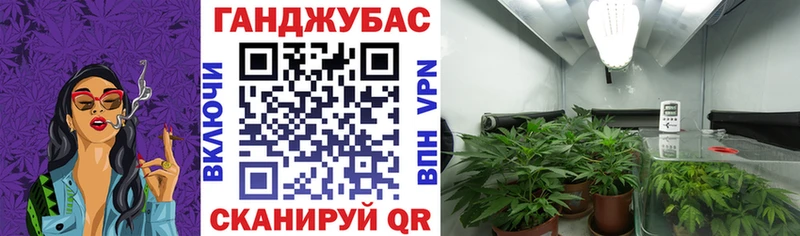 omg tor  Ак-Довурак  Бошки марихуана Bruce Banner 